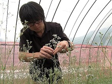 251 １００年先も昭和 日本一のかすみ草が作る未来 日本のチカラ 民教協の番組 公益財団法人 民間放送教育協会