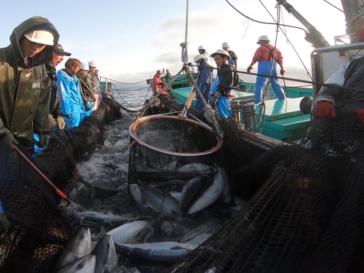 267 職業 サラリーマン漁師 初心者ｏｋ ボーナスあり 日本のチカラ 民教協の番組 公益財団法人 民間放送教育協会