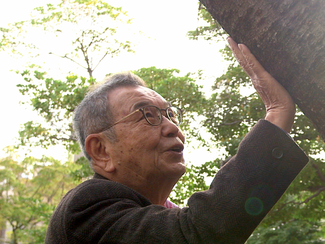 306 被爆樹木の声を聴く 広島の永遠のみどり 日本のチカラ 民教協の番組 公益財団法人 民間放送教育協会